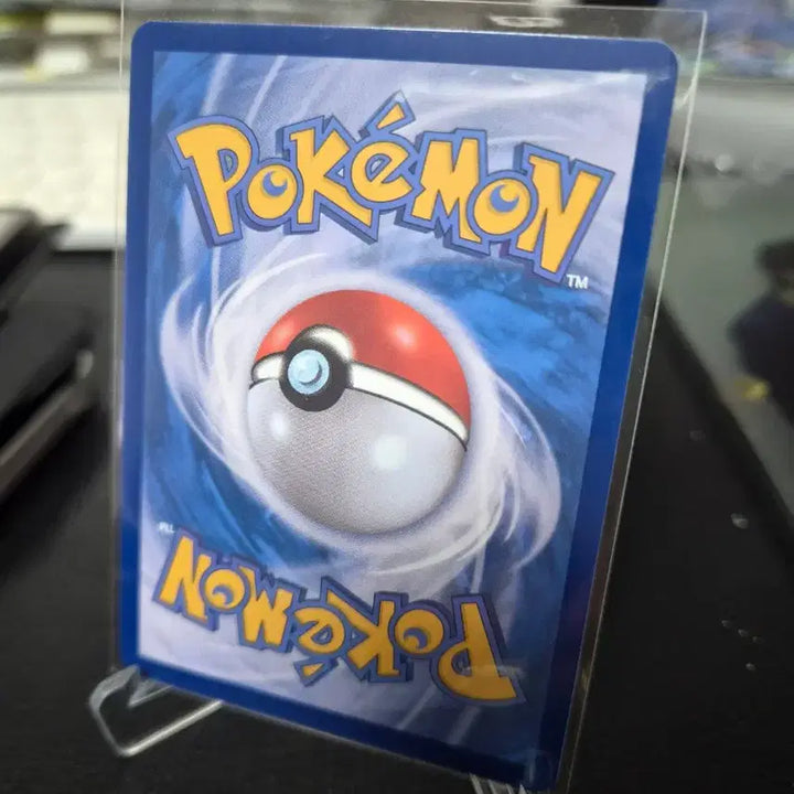 [BUNJANG] Pokemon Card Pikachu Adventure Jumbo Promo / 포켓몬 카드 피카츄 다함께모험 점보 프로모