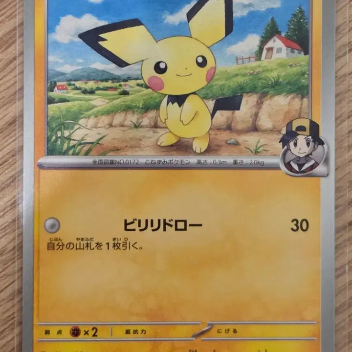 [BUNJANG] Pokemon Card Hibiki&
