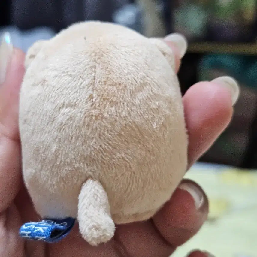 [BUNJANG] Sumikko Gurashi Dog Mole Plush / 스밋코구라시 강아지 두더지 인형