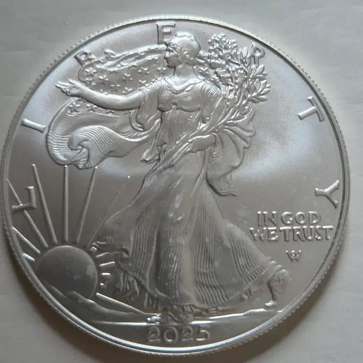 [BUNJANG] 2025 1 oz Silver Eagle Coin / 2025년 1온스 실버이글 은화