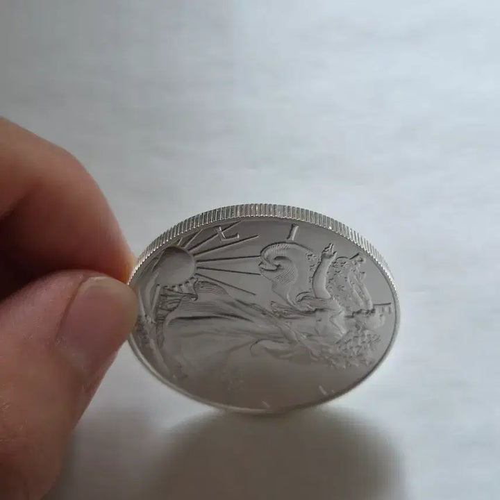 [BUNJANG] 2025 1 oz Silver Eagle Coin / 2025년 1온스 실버이글 은화