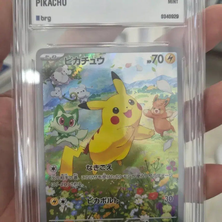 [BUNJANG] Pokemon Card Pikachu 2024 Japan Promo Mint Graded / 포켓몬 카드 피카츄 2024 일본 프로모 민트 등급