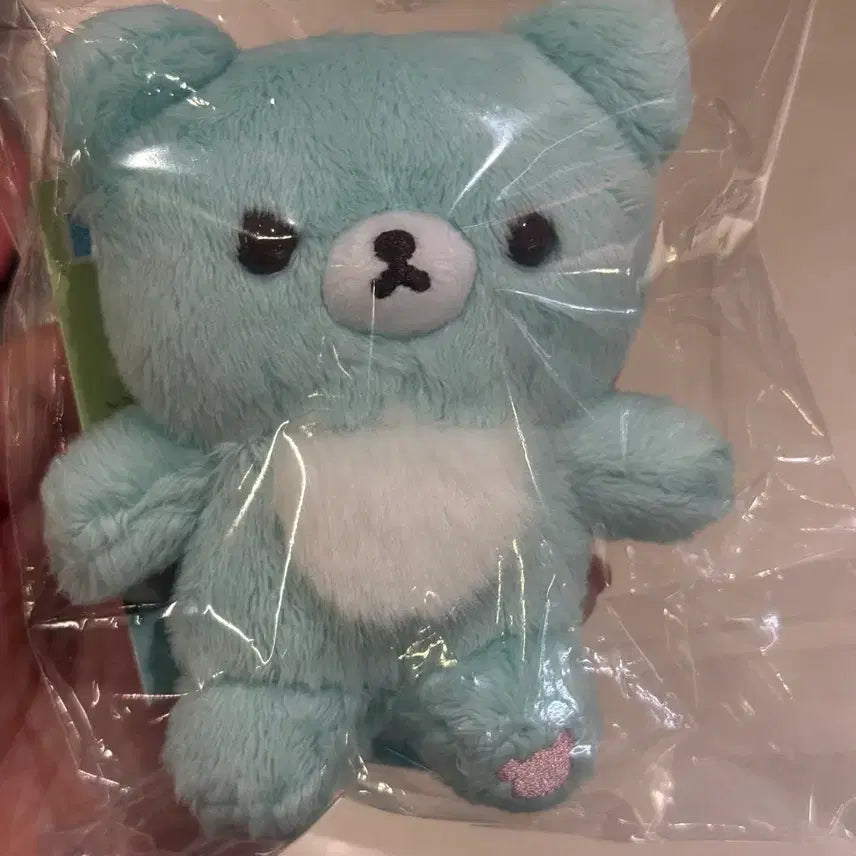 [BUNJANG] San-X Chairoikoguma Mint Plush / 산엑스 차이로이코구마 민트