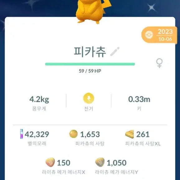 [BUNJANG] Rare Pokémon GO Shiny Pikachu / 포켓몬고 희귀 배경,이로치 피카츄