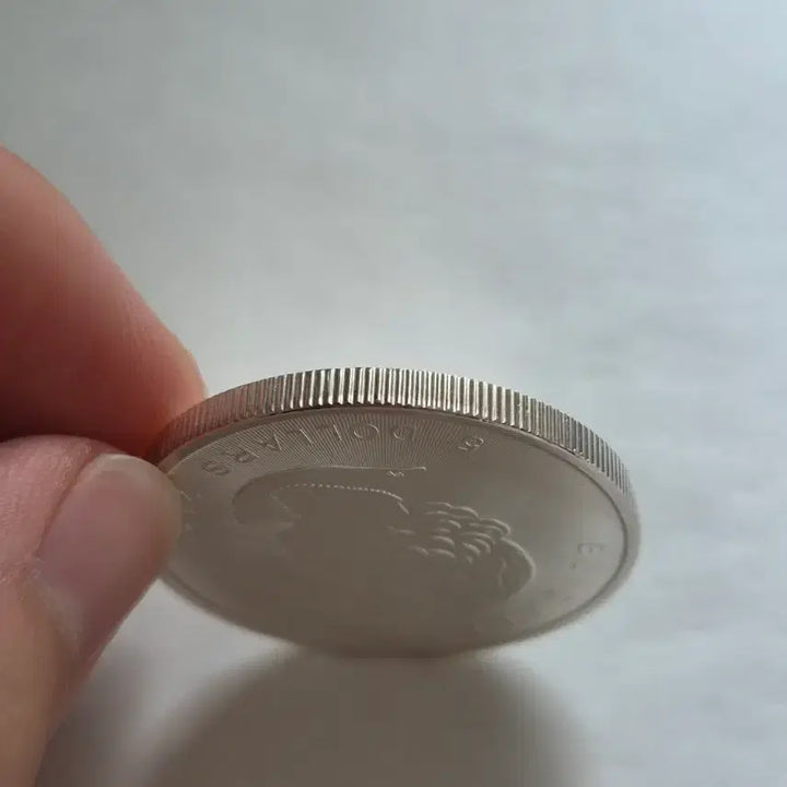 [BUNJANG] 2016 Canada Maple Leaf 1 oz Silver Coin / 2016년 캐나다 메이플 1온스 은화