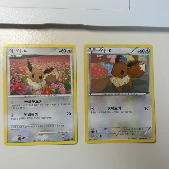 [BUNJANG] Pokemon Eevee Card Set (2010, 2012) / [고대] 이브이 카드 두종류 2010, 2012