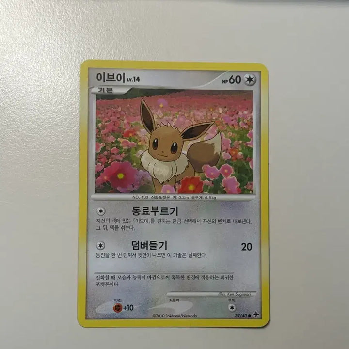[BUNJANG] Pokemon Eevee Card Set (2010, 2012) / [고대] 이브이 카드 두종류 2010, 2012