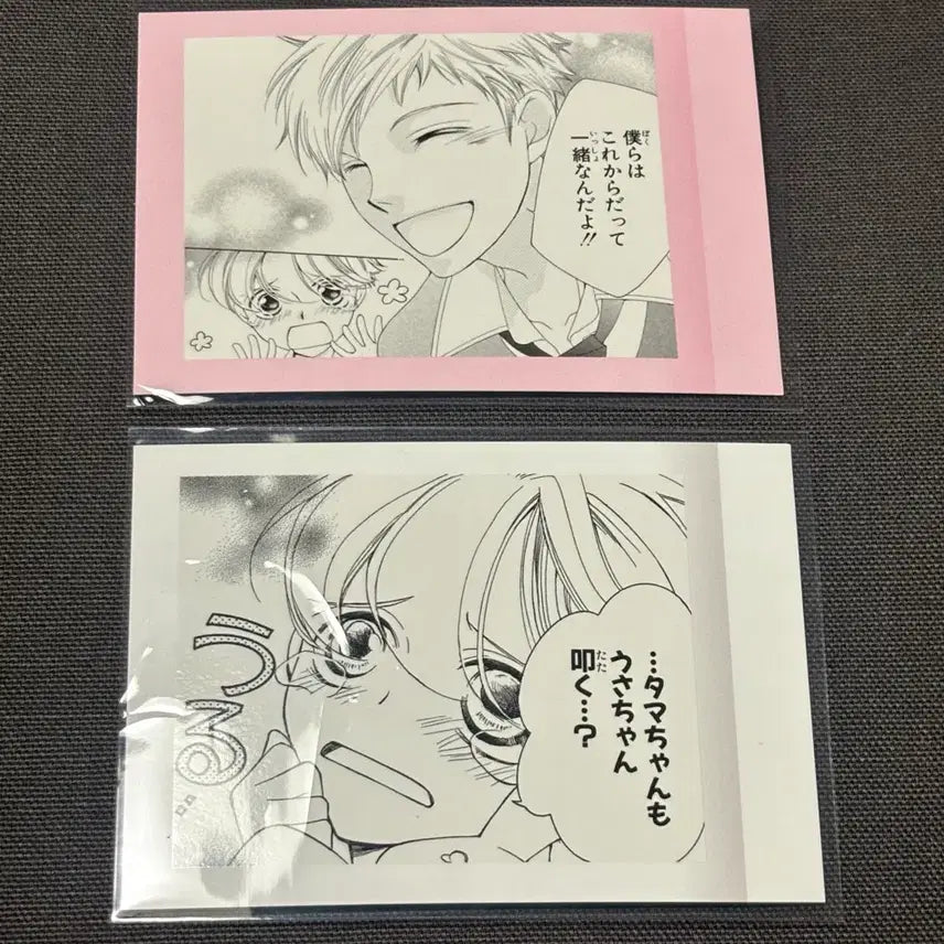 [BUNJANG] Ouran High School Host Club Kaoru Original Art Photocard Bundle Set / 오란고교 호스트부 하니 카오루 원화 캬라 포토카드 일괄
