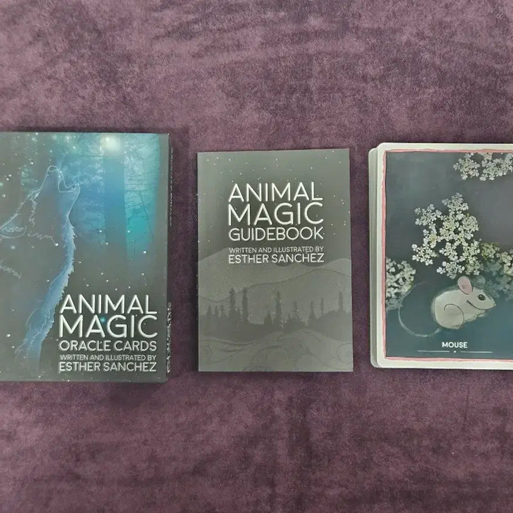 [BUNJANG] Animal Magic Oracle Cards / 애니멀 매직 오라클카드 Animal Magic Oracle Cards