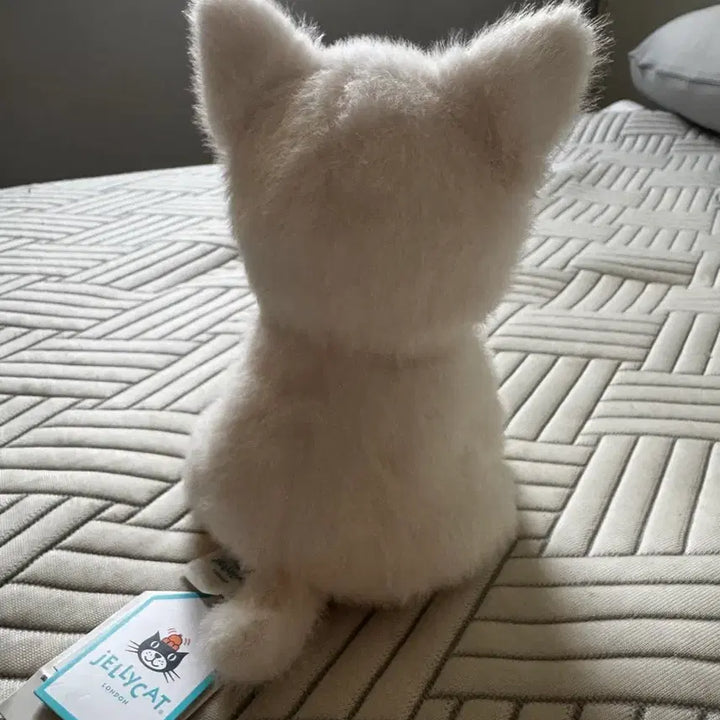 [BUNJANG] Jellycat Monroe Scotty Dog Junior (China Exclusive) / 중국한정) jellycat 먼로 스코티독 주니어 젤리캣 정품