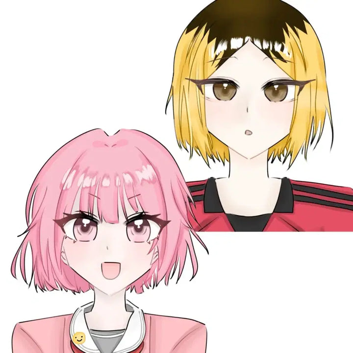 [BUNJANG] Portrait Badge Commission / 0.5 정면 두상 인장 그림 커미션