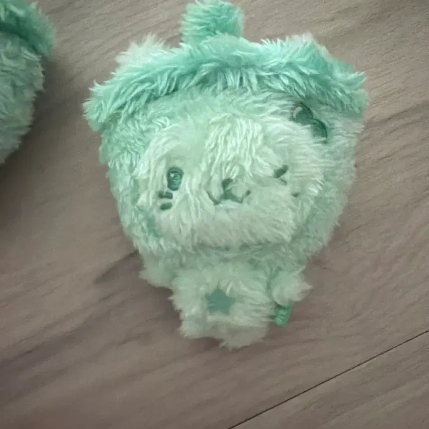 [BUNJANG] Colorwishdoll Green Bubble Cat / 컬러위시돌 초록 버블냥