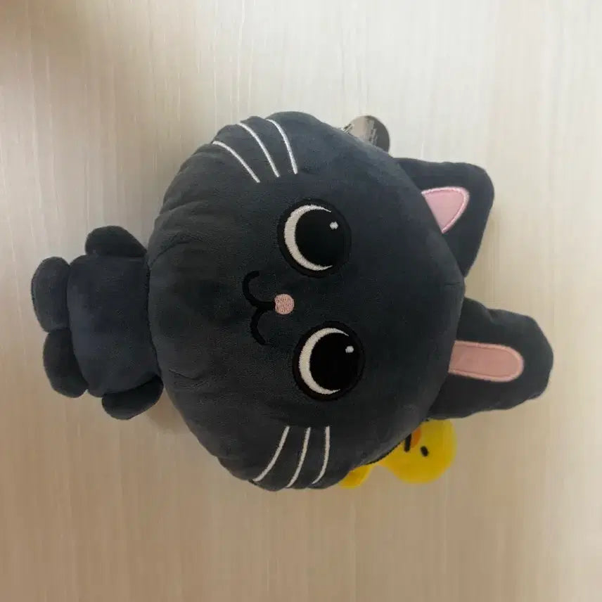 [BUNJANG] TONYANGDEOK Wonbin Doll Coin Purse / 토냥덕 동전지갑 ㅅㅊㅇ 라이즈 원빈 인형