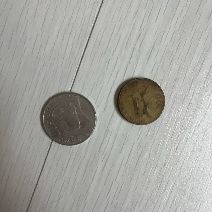 [BUNJANG] Tanzania Shilling Coins (2) Bundle / 탄자니아 실링 동전