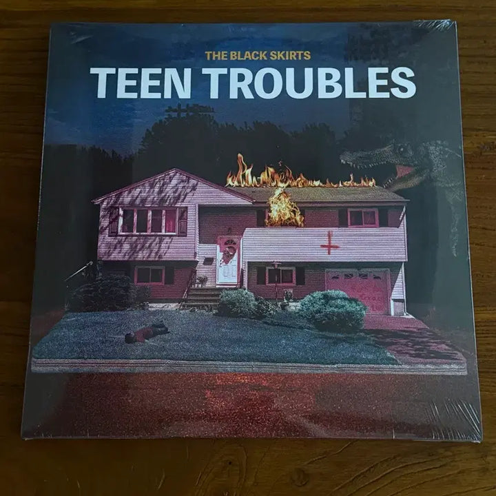 [BUNJANG] The Black Skirts Teen Troubles LP (Sealed) / 검정치마 teen troubles LP 미개봉