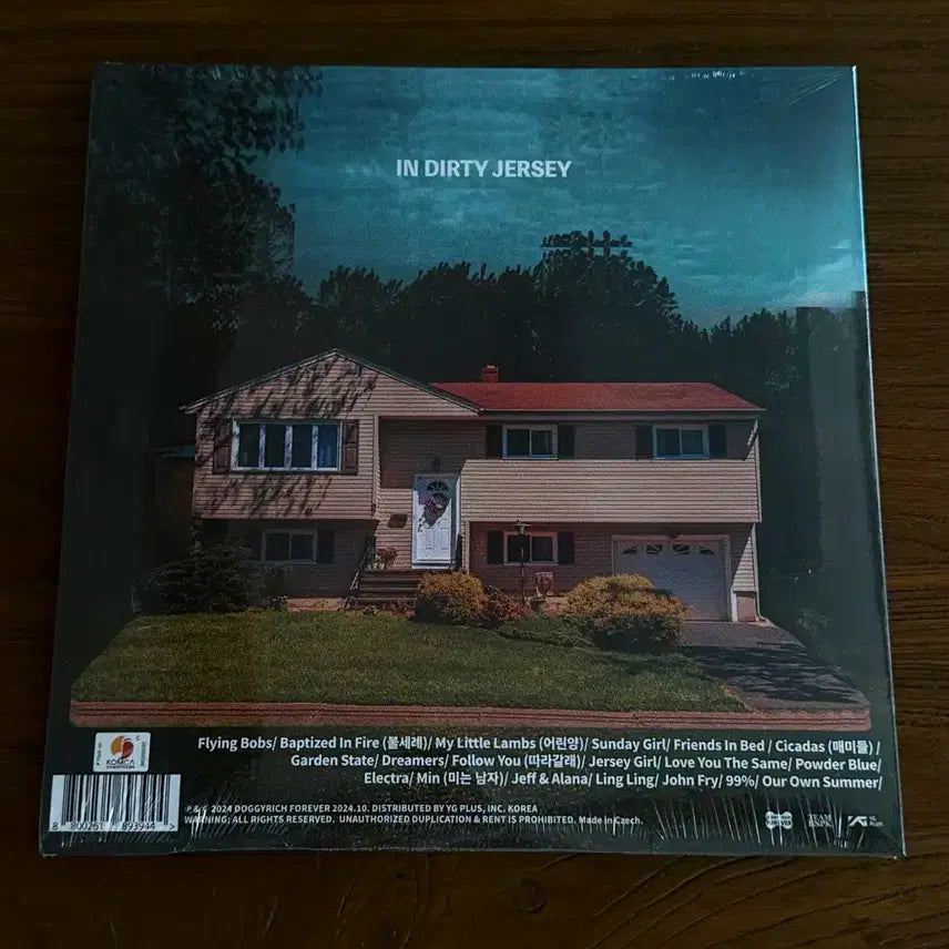 [BUNJANG] The Black Skirts Teen Troubles LP (Sealed) / 검정치마 teen troubles LP 미개봉