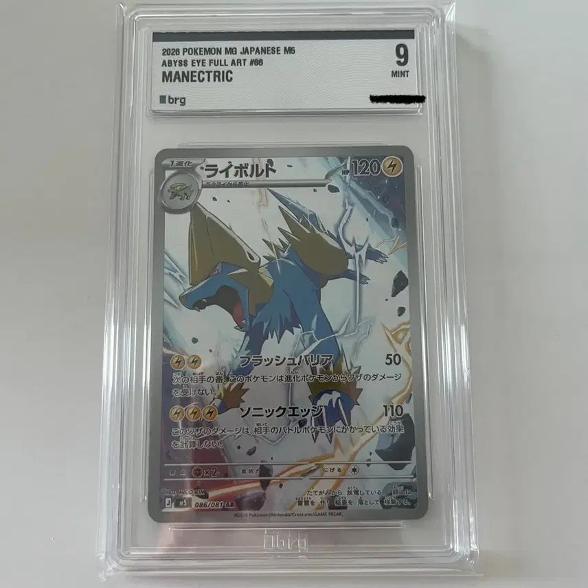 [BUNJANG] Pokemon Card Thunderbolt AR (Japanese Version) / 포켓몬카드 썬더볼트 AR (일판) (brg9)