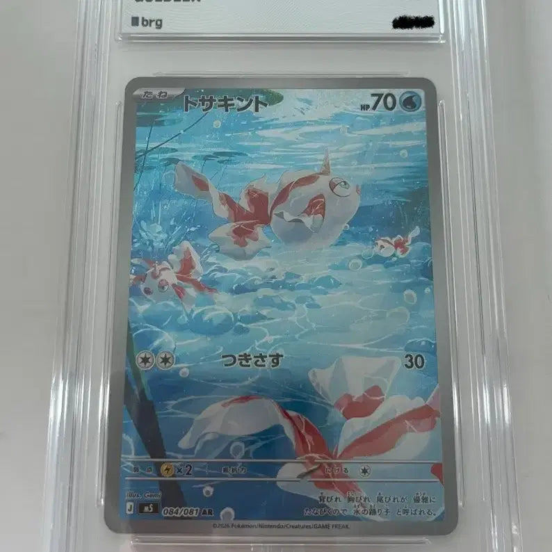 [BUNJANG] Pokemon Card Konchi AR (Japanese) (BRG10) / 포켓몬카드 콘치 AR (일판) (brg10)