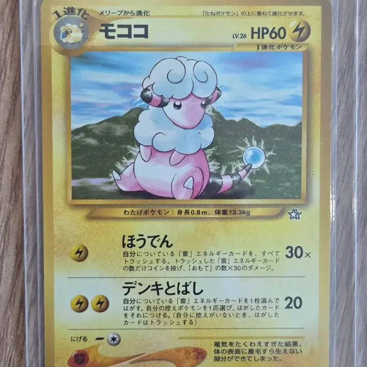 [BUNJANG] Pokemon Card Neo Series Old Back Bolthough Vintage Card (Japanese Release, 2000) / [일판] 포켓몬카드 2000년 네오시리즈 올드백 보송송 빈티지 카드