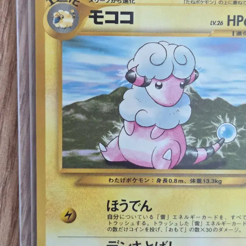 [BUNJANG] Pokemon Card Neo Series Old Back Bolthough Vintage Card (Japanese Release, 2000) / [일판] 포켓몬카드 2000년 네오시리즈 올드백 보송송 빈티지 카드