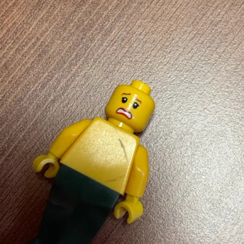 [BUNJANG] LEGO The Little Mermaid / 레고 해적 인어공주
