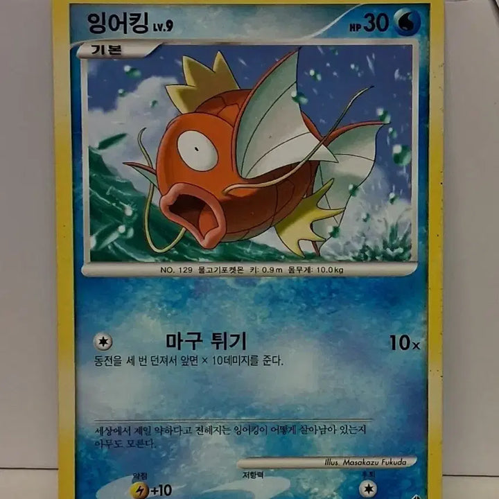 [BUNJANG] Pokemon Card Ancient Pack Magikarp / 포켓몬 카드 고대팩 잉어킹