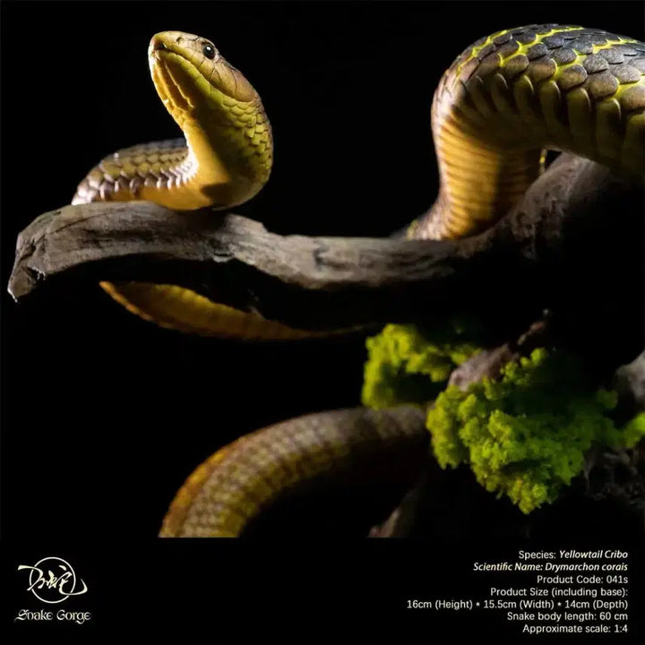 [BUNJANG] Snake Gorge Studio Yellow Crevo Sealed / Snake Gorge스튜디오 옐로우크리보