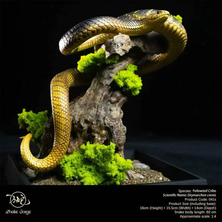 [BUNJANG] Snake Gorge Studio Yellow Crevo Sealed / Snake Gorge스튜디오 옐로우크리보 미개봉품