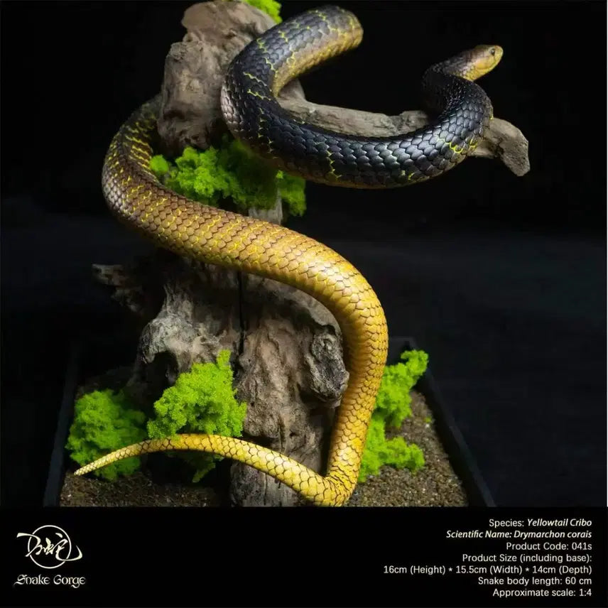 [BUNJANG] Snake Gorge Studio Yellow Crevo Sealed / Snake Gorge스튜디오 옐로우크리보