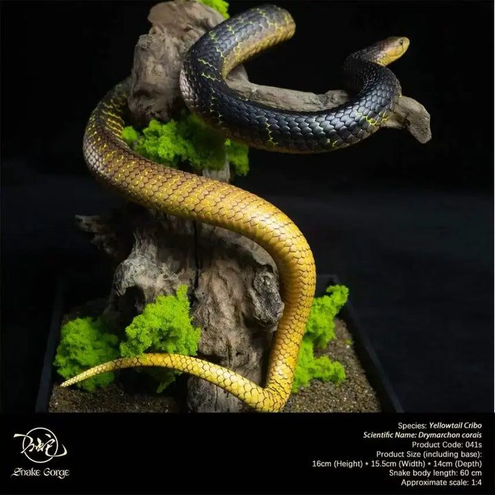 [BUNJANG] Snake Gorge Studio Yellow Crevo Sealed / Snake Gorge스튜디오 옐로우크리보