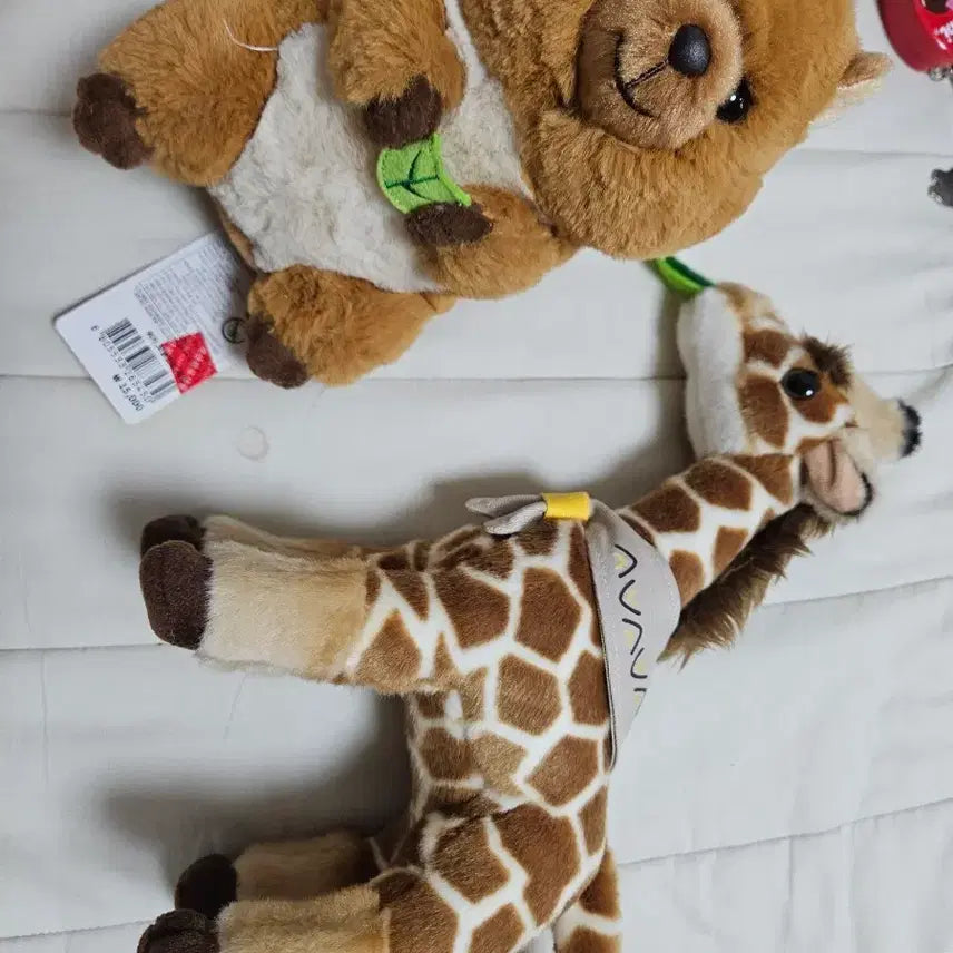 [BUNJANG] Everland Quokka &amp; Giraffe Plush Set / 에버랜드 쿼카 기린 인형 세트 정가37000원