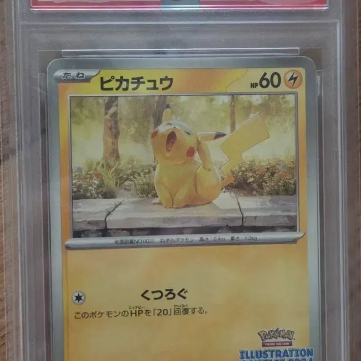 [BUNJANG] Pokemon Card Yawning Pikachu PSA 10 / 포켓몬 카드 하품 피카츄 PSA10