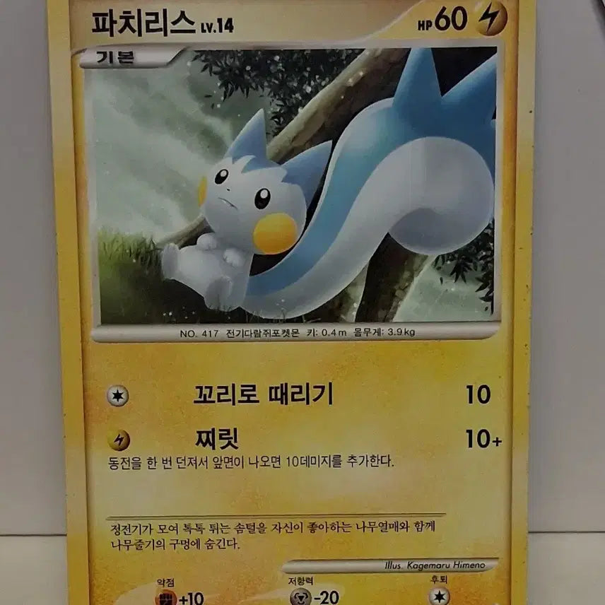 [BUNJANG] Pokemon Card Pachirisu Level 14 (2010 Single Card) / 포켓몬 카드 2010년 싱글 카드 파치리스