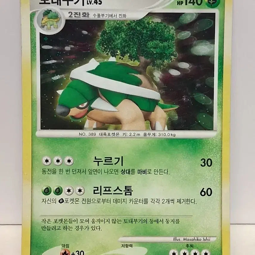 [BUNJANG] Pokemon TCG 2010 Torterra Single Card / 포켓몬카드 2010년 싱글카드 토대부기