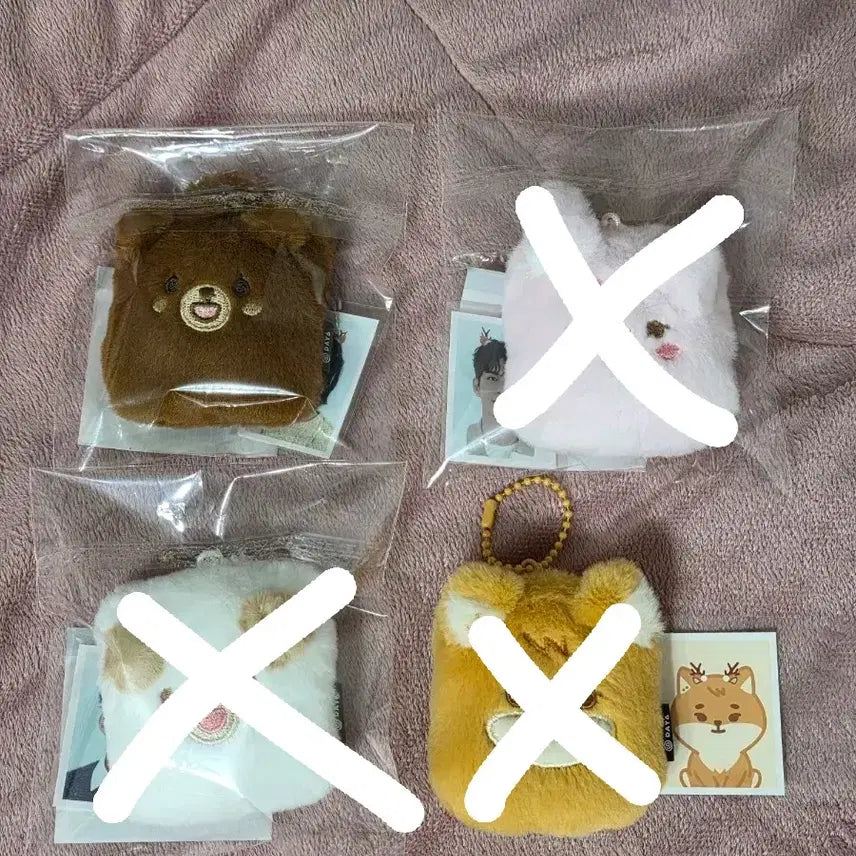[BUNJANG] Day6 Pre-Order Photocard Holder Photo Set Keychain / 데이식스 쁘멀 포토 홀더 증사 키링 방