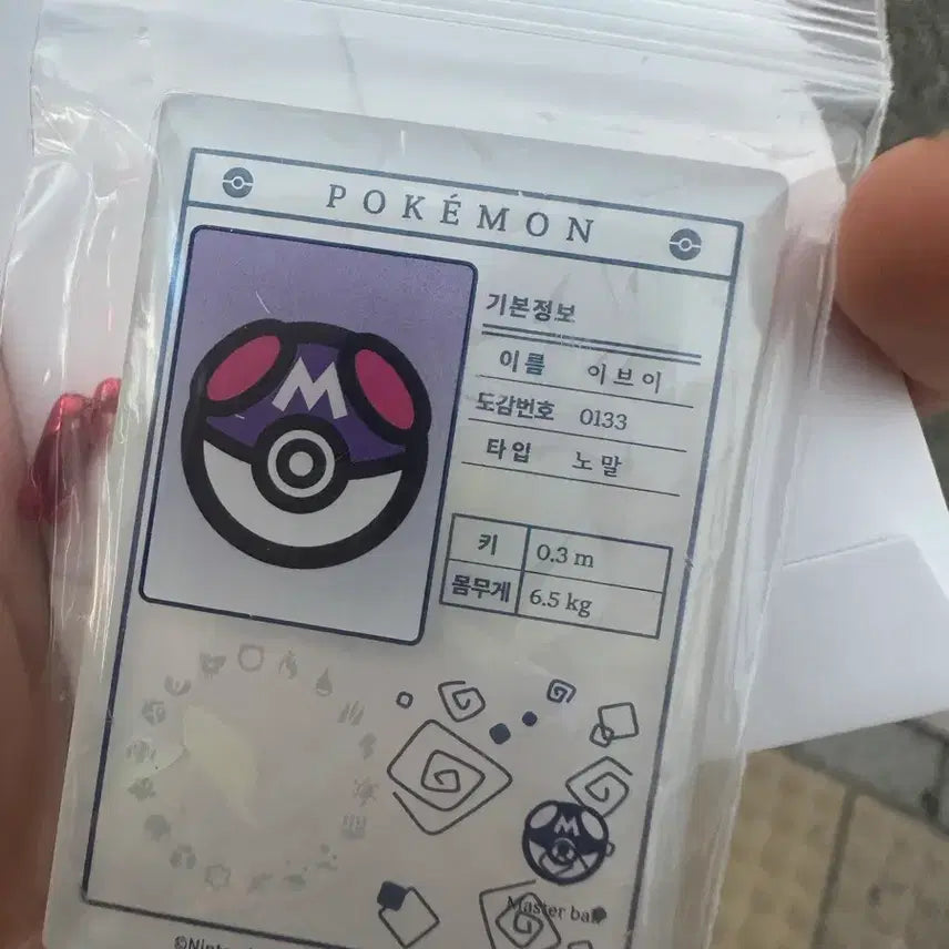 [BUNJANG] Pokemon Error Magnet / 포켓몬 오류 마그넷
