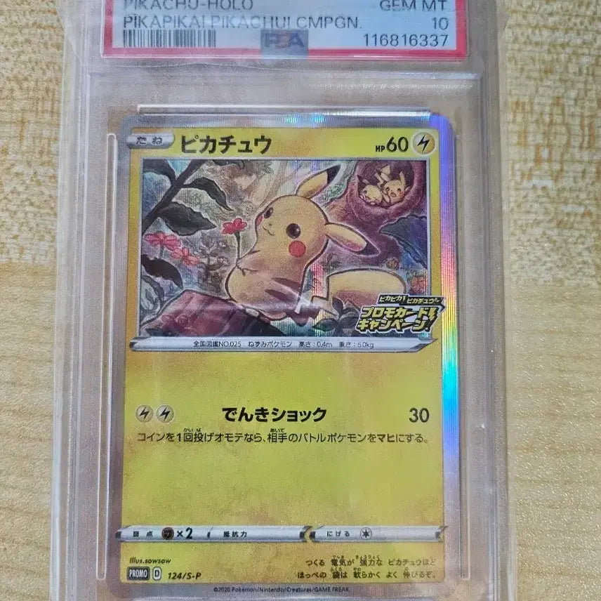 [BUNJANG] Pikachu Rose PSA 10 Graded Card / 장미 피카츄 PSA10