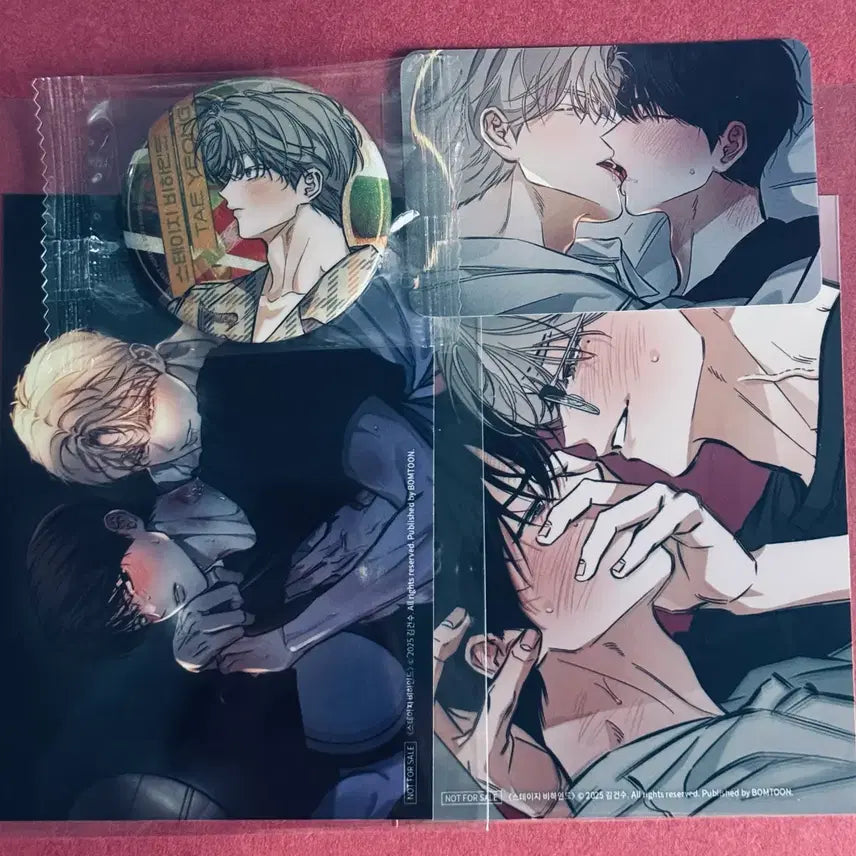 [BUNJANG] Stage Behind Home Party Skinship Header Photocard Badge Bundle Set / 스테이지비하인드 홈파티 스킨십 헤더 포카 뱃지 양도