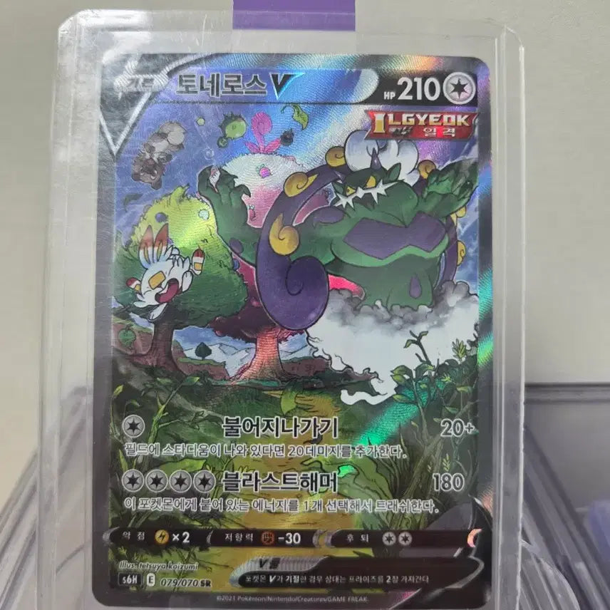 [BUNJANG] Pokemon Card Tornadus V Special Edition / 포켓몬카드 토네로스 V 특일 팝니다