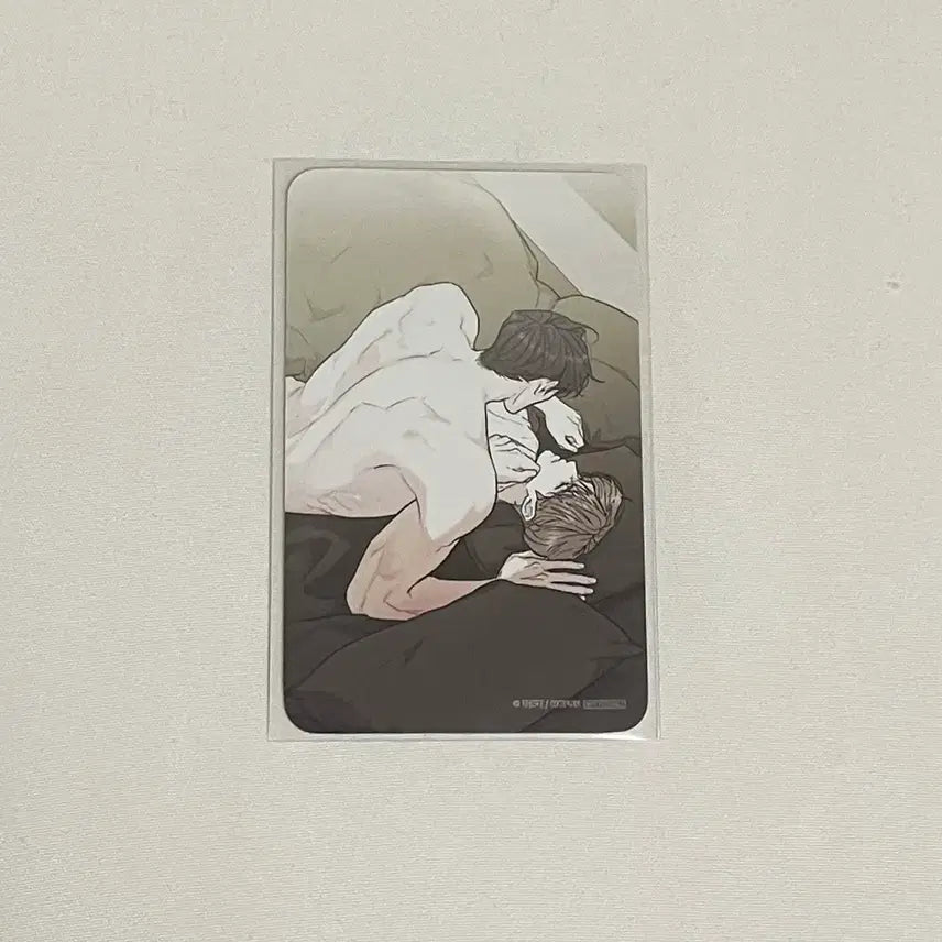 [BUNJANG] Limited Run Mo Fun Bangpo Photocard / 리미티드런 모펀 방포