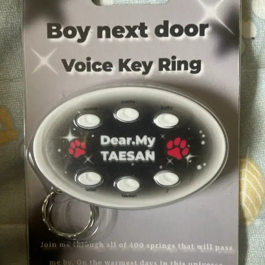 [BUNJANG] Taesan Voice Keychain / 태산 보이스 키링