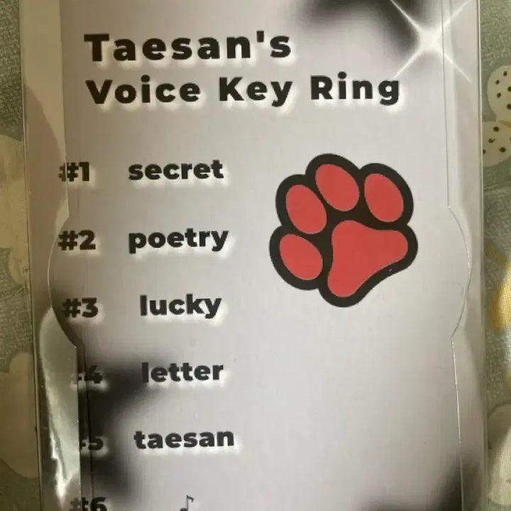 [BUNJANG] Taesan Voice Keychain / 태산 보이스 키링