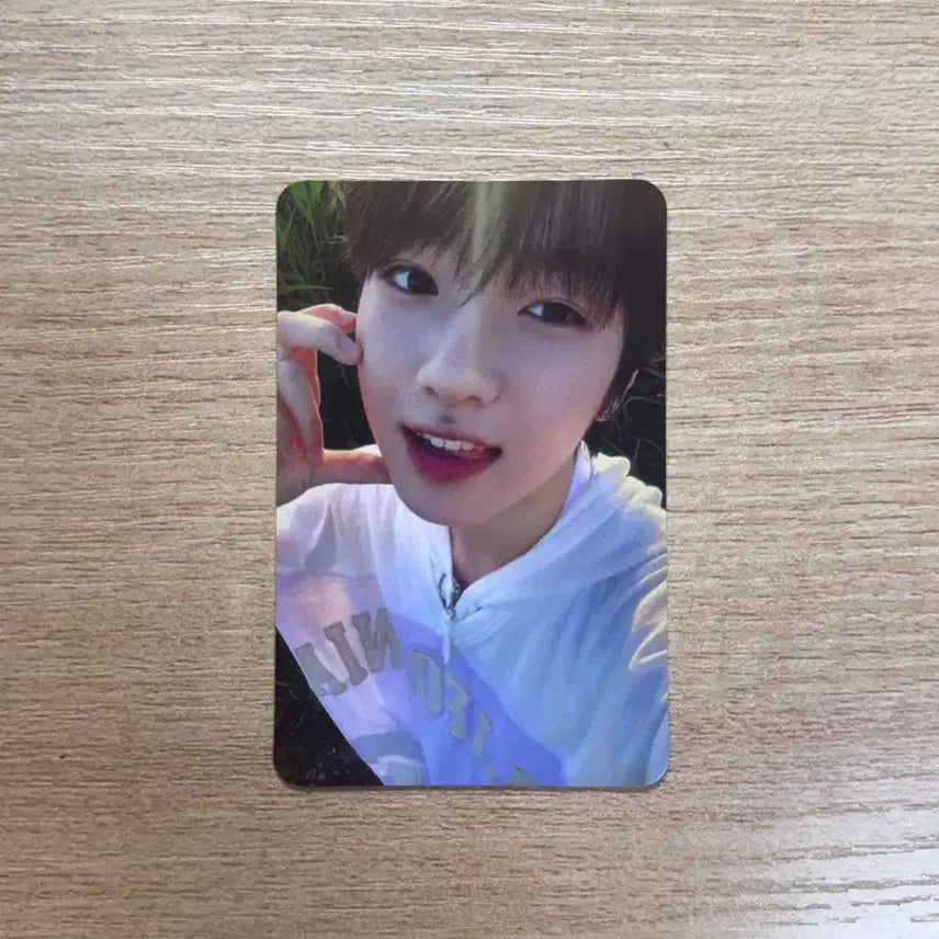 [BUNJANG] STAYC Sakuya Photocard / 스테디 트래카 사쿠야
