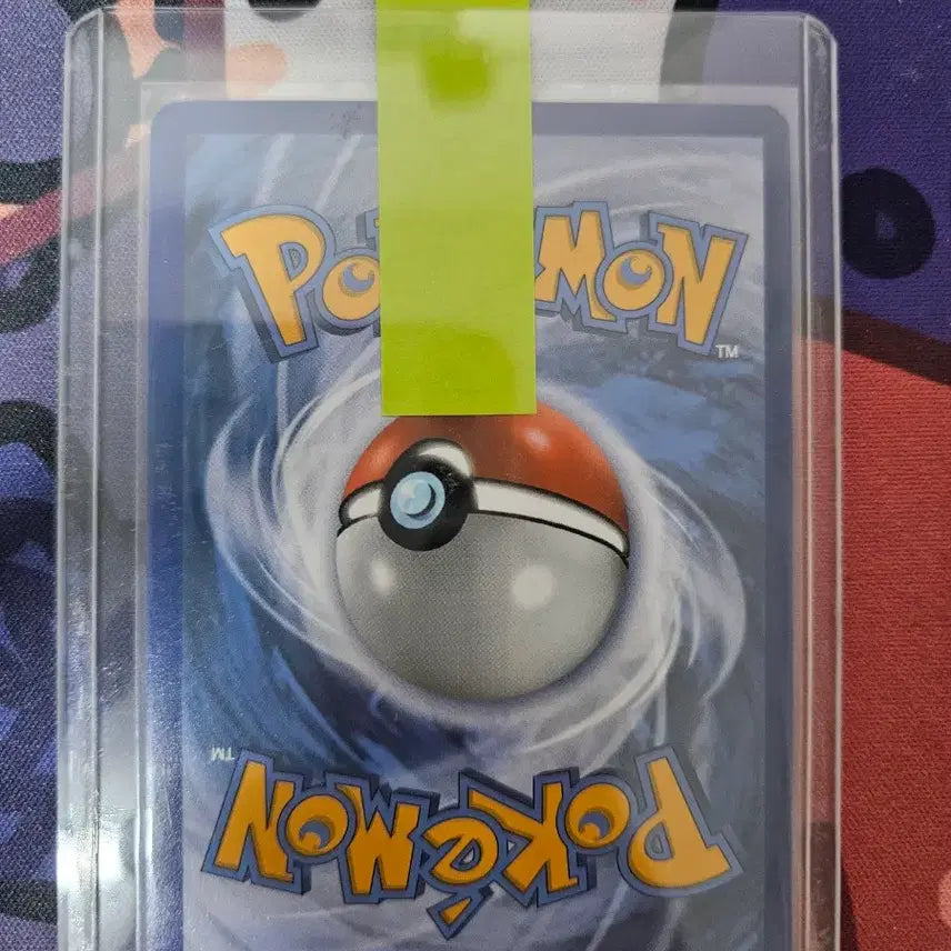 [BUNJANG] Pokemon Card Mari Autographed Card / 포켓몬카드 마리싸인카드