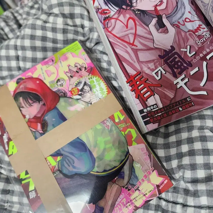 [BUNJANG] Monster in the Spring Storm Clear Poster Set &amp; Magazine / 봄폭몬 하나토유메+부록+컬러페이지 / 봄의 폭풍과 몬스터 클리어 받침 포스터 부록 / 타몬군 지금 어느쪽 타몬&amp;린타로 표지
