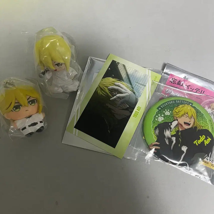[BUNJANG] Tōdo Aoi Gacha Can Badge Set (Engraved Battery) / 망각배터리 망배 토도 아오이 가챠 캔뱃지 지류