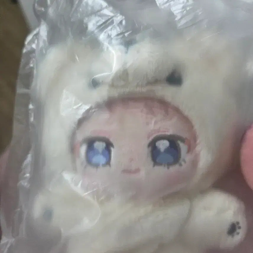 [BUNJANG] Itsuki Shu Ittsunui Bear Plush (Sealed) / 미개봉 이츠키 슈 이츠누이 곰 누이