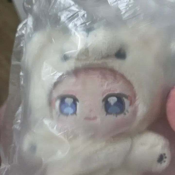 [BUNJANG] Itsuki Shu Ittsunui Bear Plush (Sealed) / 미개봉 이츠키 슈 이츠누이 곰 누이