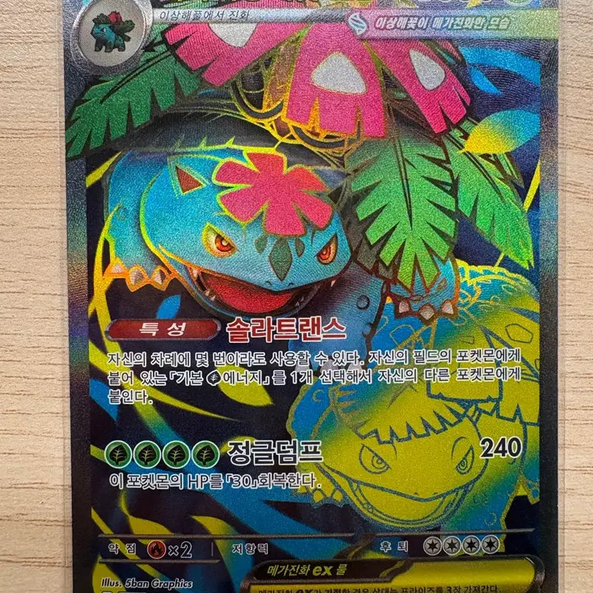 [BUNJANG] Pokemon Card Mega Venusaur SAR Set / 포켓몬카드 메가이상해꽃SAR 세트