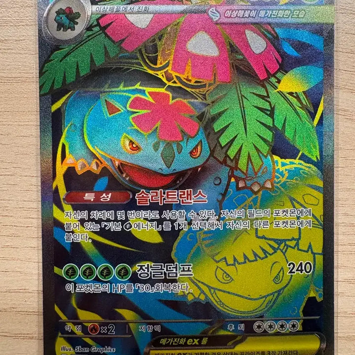[BUNJANG] Pokemon Card Mega Venusaur SAR Set / 포켓몬카드 메가이상해꽃SAR 세트